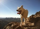 photo thumbnail #1