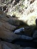 photo thumbnail #11