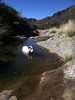 photo thumbnail #12