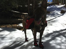 photo thumbnail #3