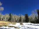 photo thumbnail #8