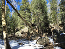 photo thumbnail #9