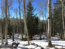 photo thumbnail #11