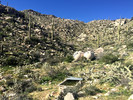 photo thumbnail #6