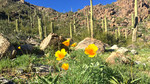 photo thumbnail #11