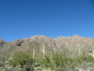 photo thumbnail #1