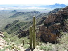 photo thumbnail #5