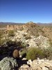 photo thumbnail #14
