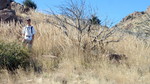 photo thumbnail #14