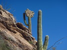 photo thumbnail #9
