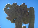 photo thumbnail #10