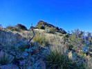 photo thumbnail #7
