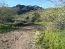 photo thumbnail #7