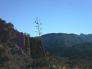 photo thumbnail #8