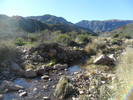photo thumbnail #10
