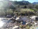 photo thumbnail #11