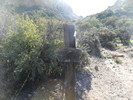 photo thumbnail #14