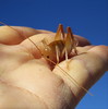 photo thumbnail #15