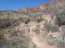 photo thumbnail #4