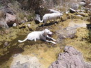 photo thumbnail #5
