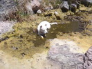 photo thumbnail #6