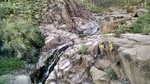 photo thumbnail #15