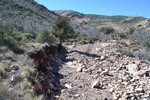 photo thumbnail #5