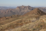 recent photo