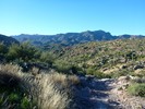 photo thumbnail #2