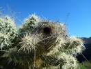 photo thumbnail #6