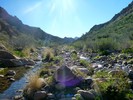 photo thumbnail #12