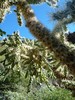 photo thumbnail #13