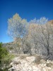 photo thumbnail #14