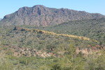 photo thumbnail #7