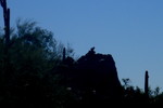 photo thumbnail #8