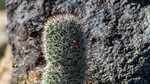 photo thumbnail #12