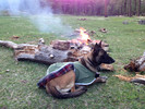 photo thumbnail #1