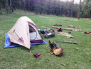photo thumbnail #4
