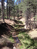 photo thumbnail #8