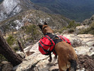 photo thumbnail #2