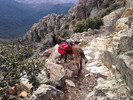photo thumbnail #4