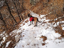 photo thumbnail #8