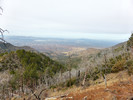 photo thumbnail #13
