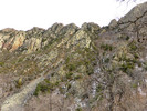 photo thumbnail #14