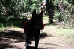 photo thumbnail #5