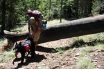 photo thumbnail #10