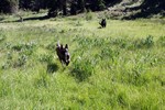 photo thumbnail #14