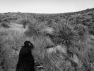 photo thumbnail #3