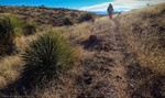 photo thumbnail #4
