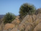 photo thumbnail #12